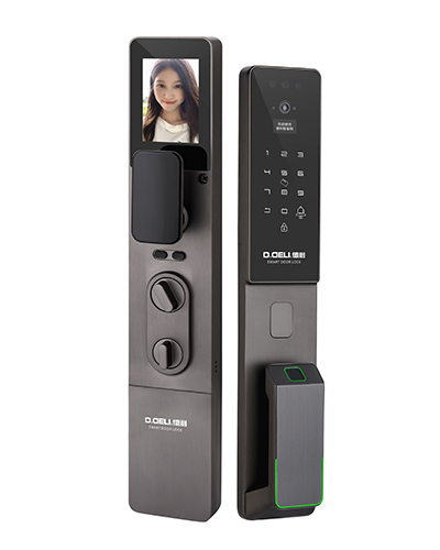 DZ011B Smart Door Lock