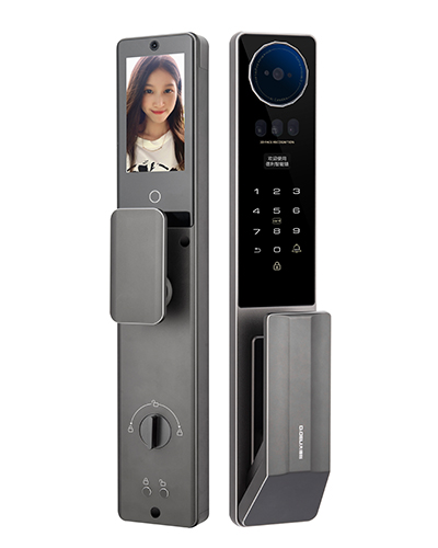 DZ020Pro Plus Smart Digital Door Lock