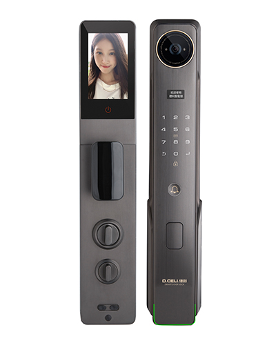 DZ016A Smart Digital Door Lock