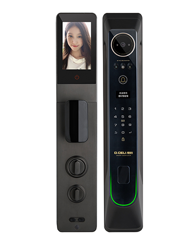 DZ018Pro Smart Digital Door Lock