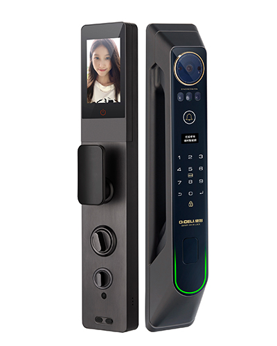DZ018Pro Smart Digital Door Lock