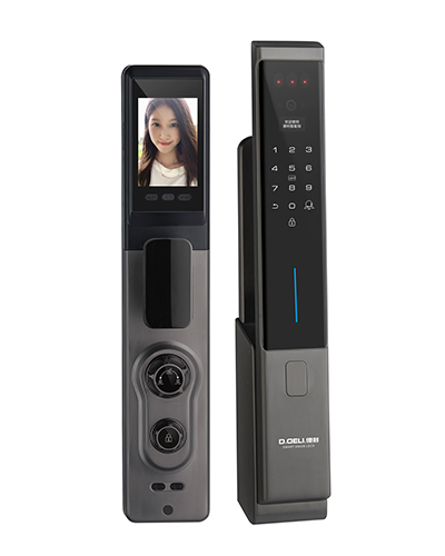 DZ015B Smart Digital Door Lock