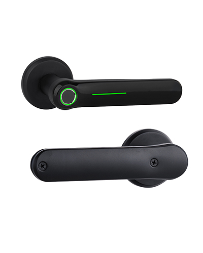 DF006A Smart Door Handle