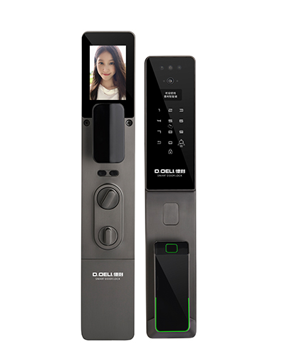 DZ011B Smart Door Lock
