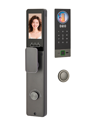 DQZ035A Smart Biometric Door Lock