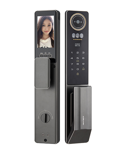 DZ020Pro Smart Video Door Lock