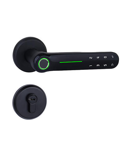 DF005A Smart Electronic Door Lock