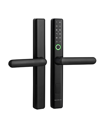 DL001D Smart Digital Door Lock