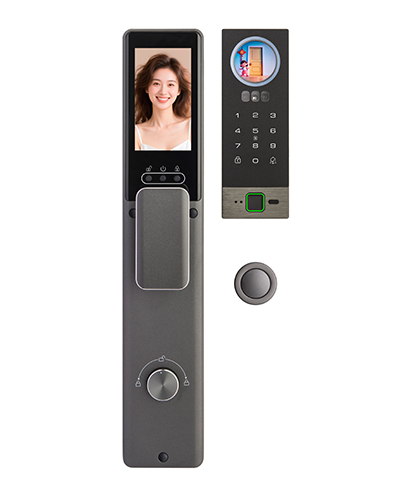 DQZ035A Smart Biometric Door Lock