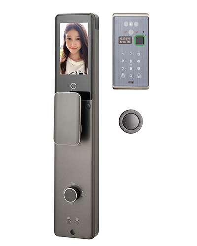 DQZ013Pro Smart Door Lock with Facial Recognition