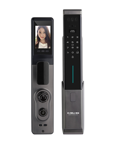 DZ015B Smart Digital Door Lock