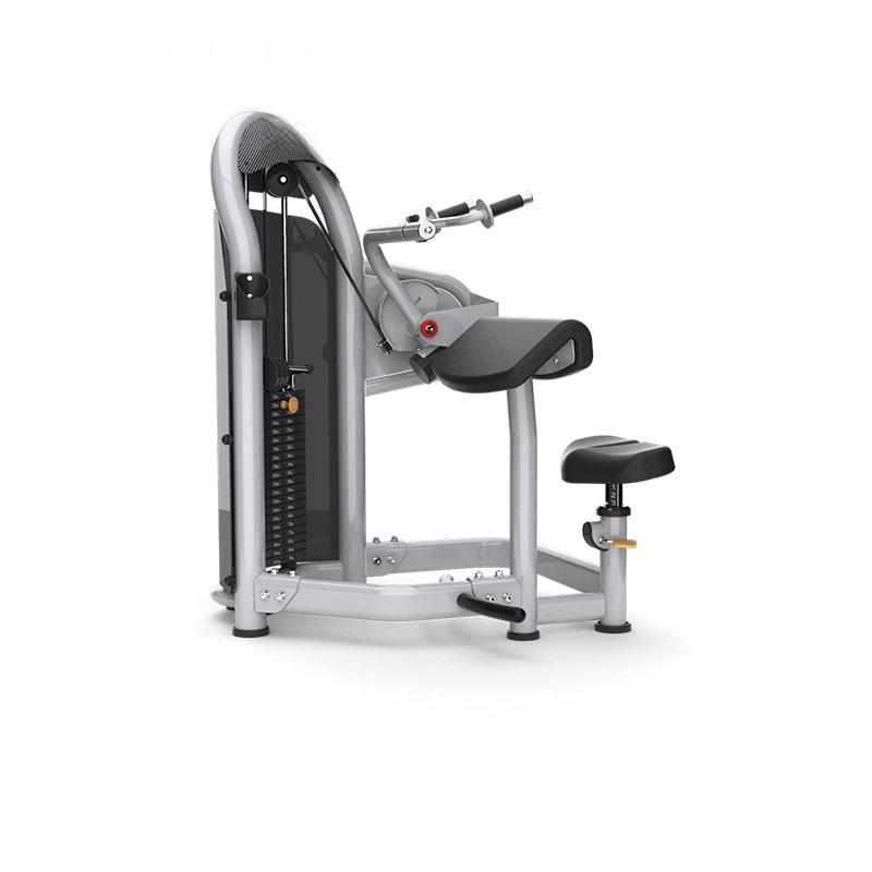 Triceps Extension Machine G3-S45 – Arm Strength Trainer for Commercial Gyms