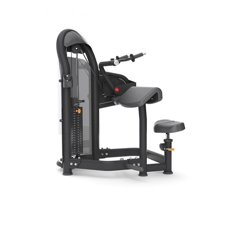 Triceps Extension Machine G3-S45 – Arm Strength Trainer for Commercial Gyms