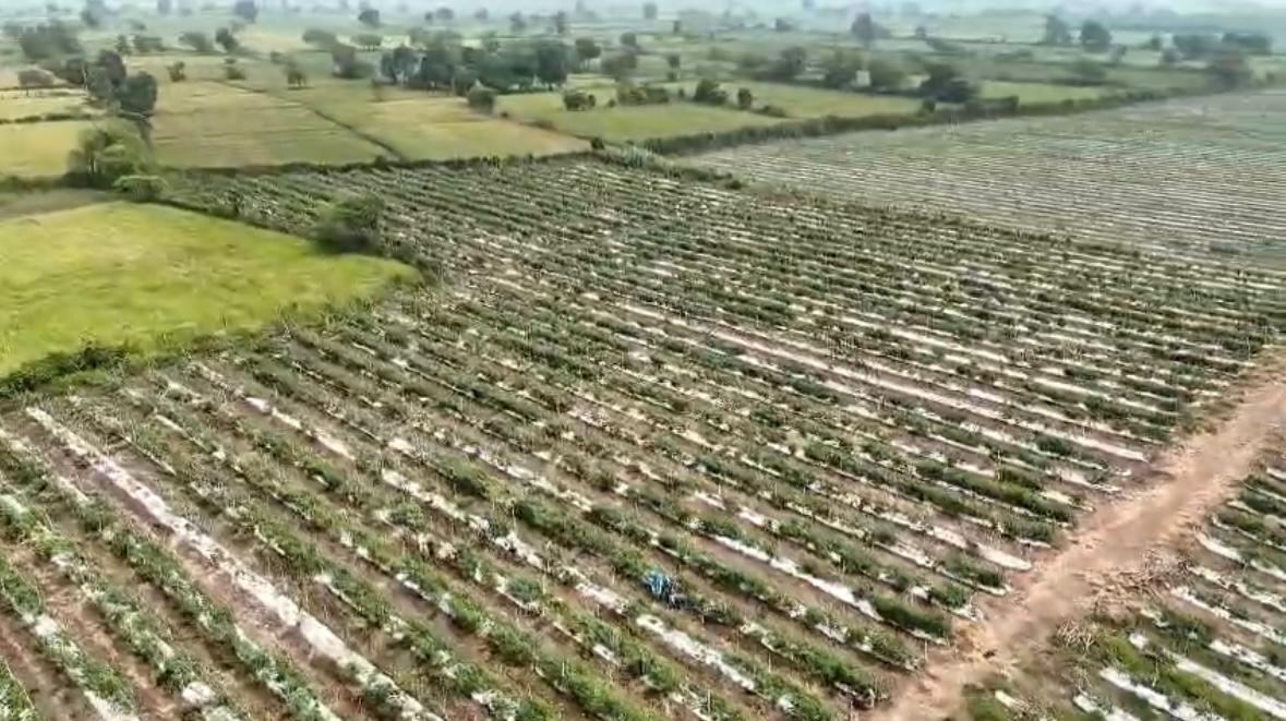 ЁЯУв рдмрд┐рдХреНрд░реА рд╣реЗрддреБ рдЙрдкрд▓рдмреНрдз тАУ 55 рдПрдХрдбрд╝ рдЬрдореАрди | рдзрдордзрд╛, рджреБрд░реНрдЧ рд╕реЗ рд▓рдЧреА рд╣реБрдИ