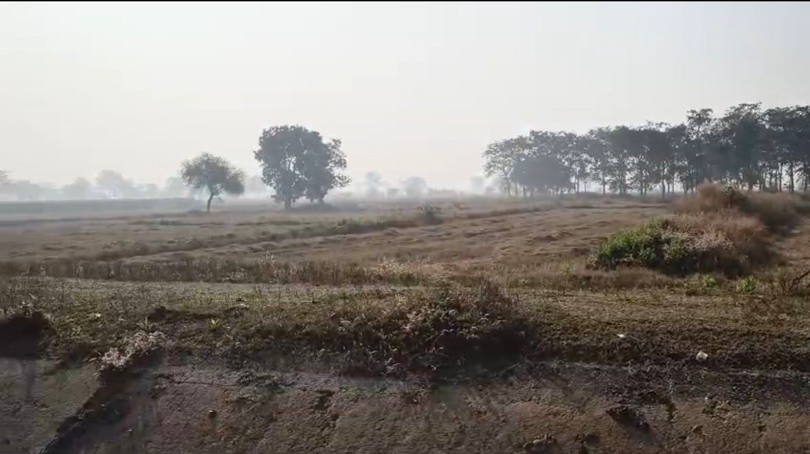 🌾 कृषि भूमि बिक्री हेतु उपलब्ध – छछानपैरी, Raipur के पास 🌾