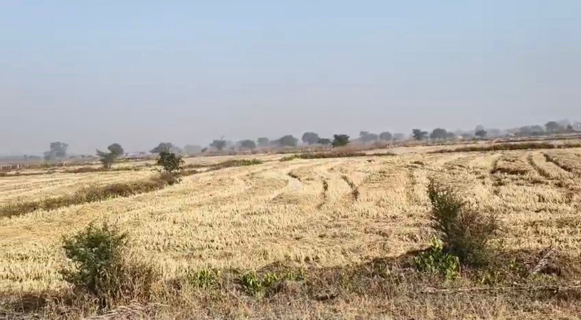 🌾 कृषि भूमि बिक्री हेतु – छाछनपैरी, Raipur (छत्तीसगढ़)