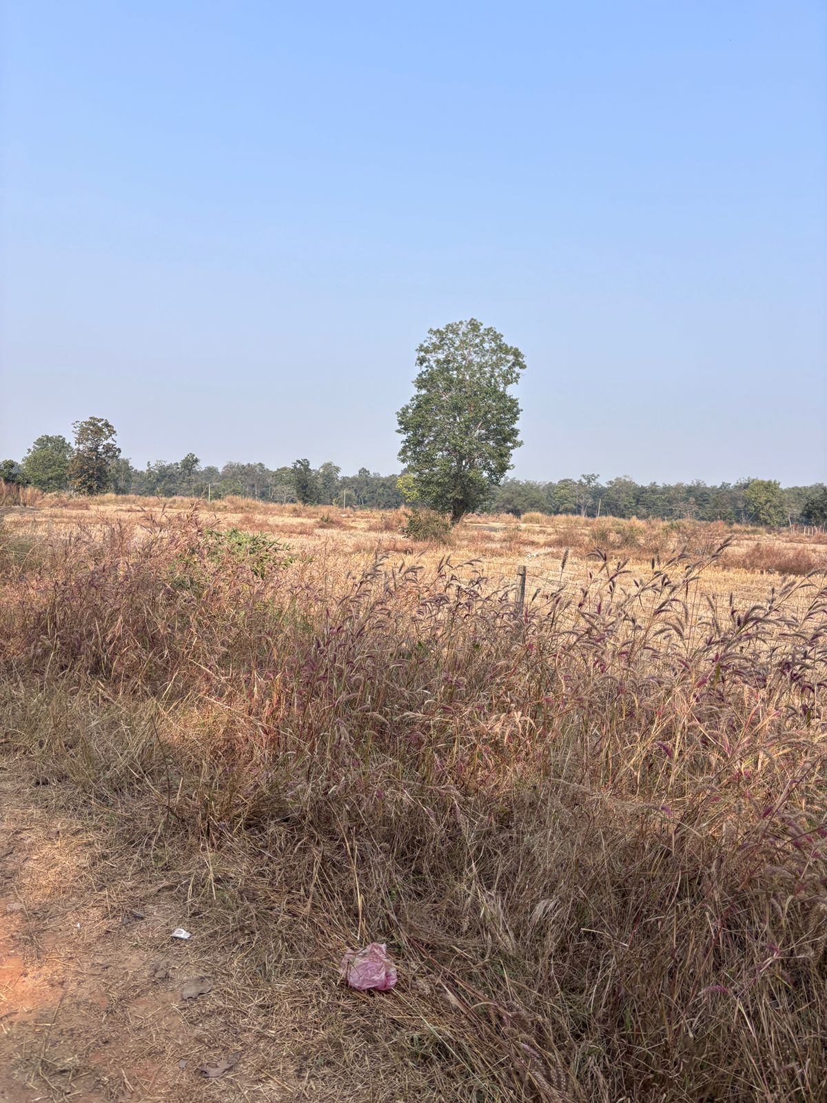 ग्राम अलेखुटा (पठार) 🌾 कृषि भूमि बिक्री हेतु उपलब्ध मंगरलोड के पास, जिला धमतरी, छत्तीसगढ़