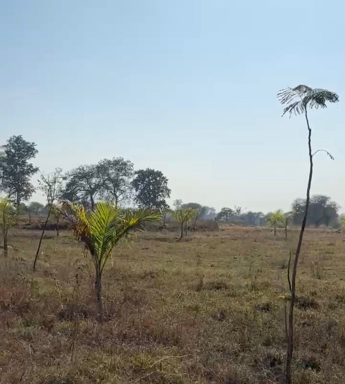 दुर्ग अंजोरा बाईपास पर सुंदर और शांत लोकेशन में फ़ार्म हाउस प्लॉट उपलब्ध।