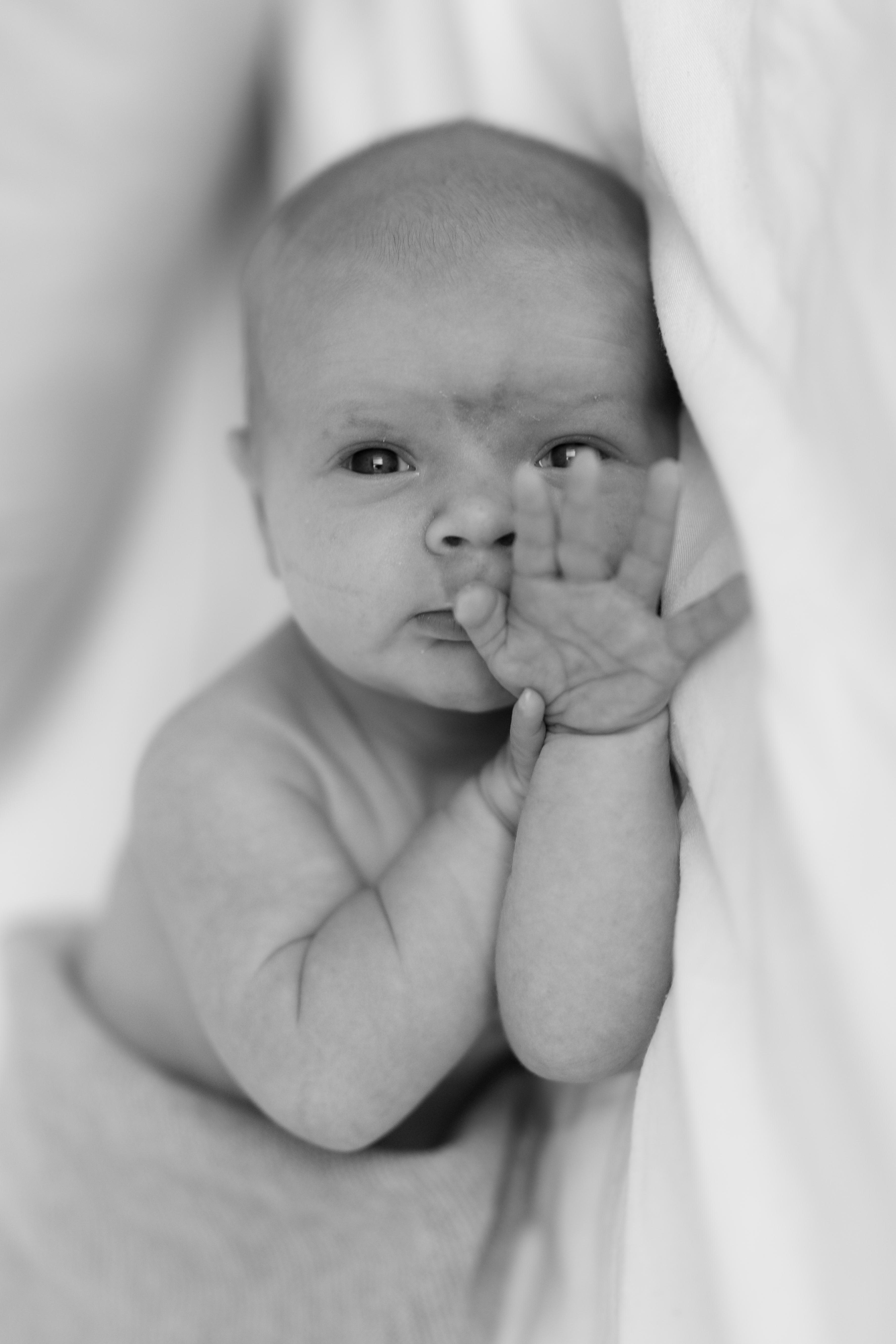 Book a consultation// Buche ein kostenloses Beratungsgespräch