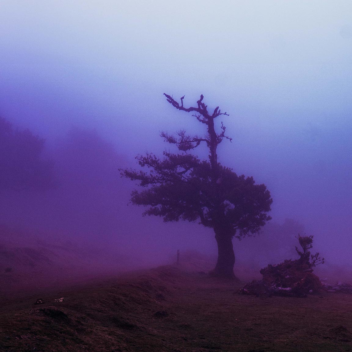 Je t'efface - Format carré