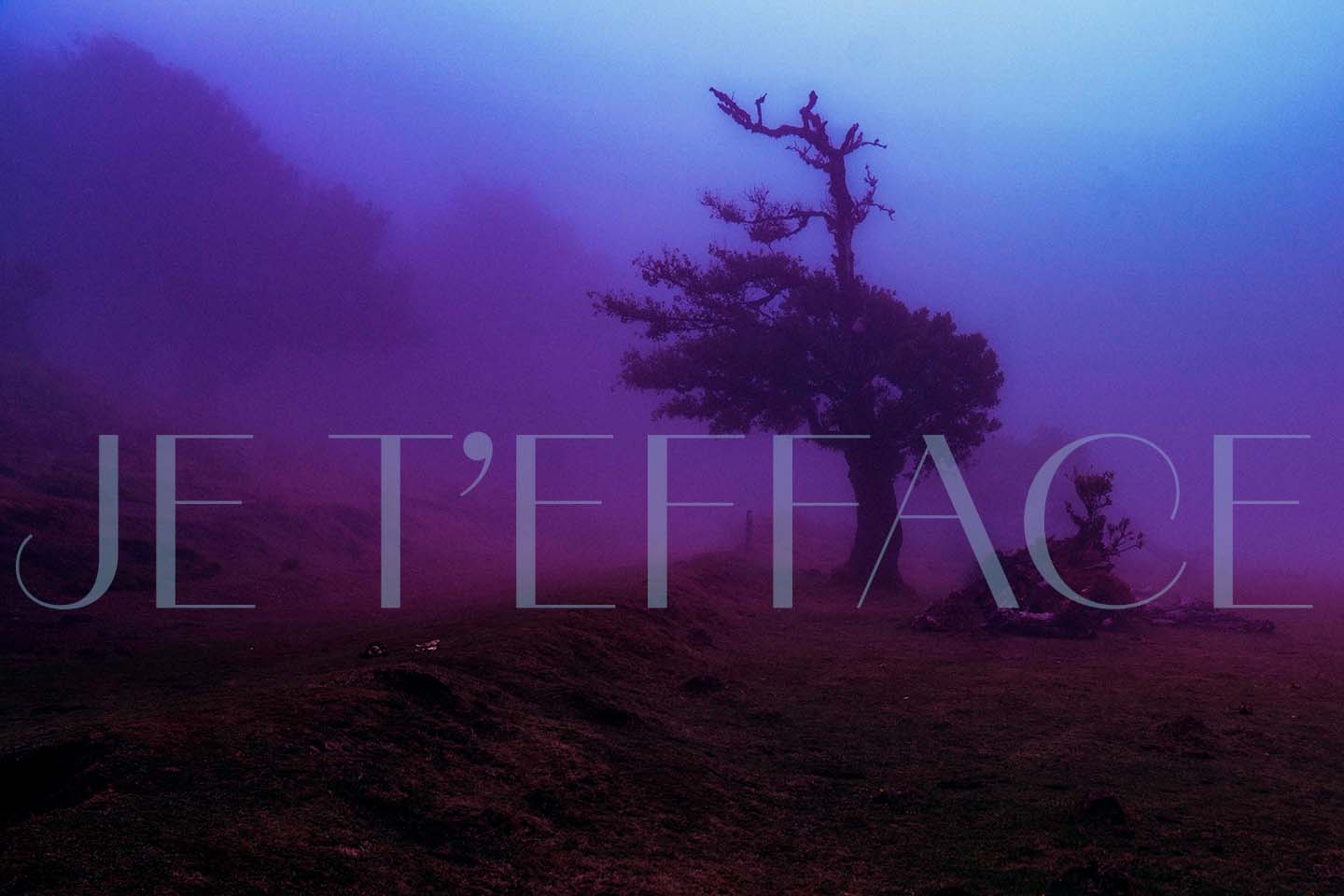 Je t'efface  - format paysage