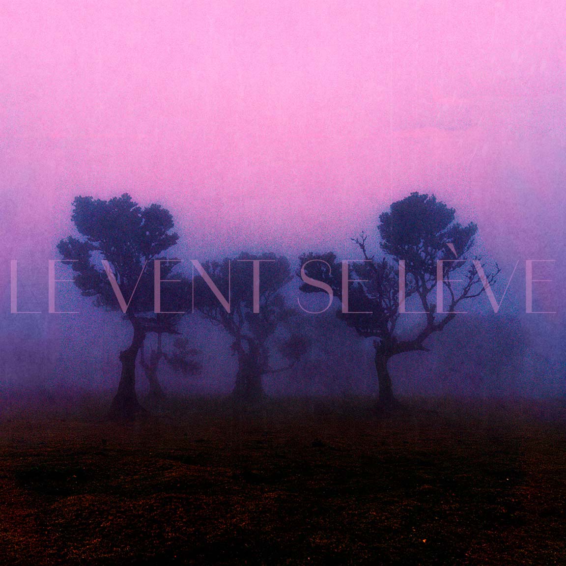 Le vent se lève - Tirage limité