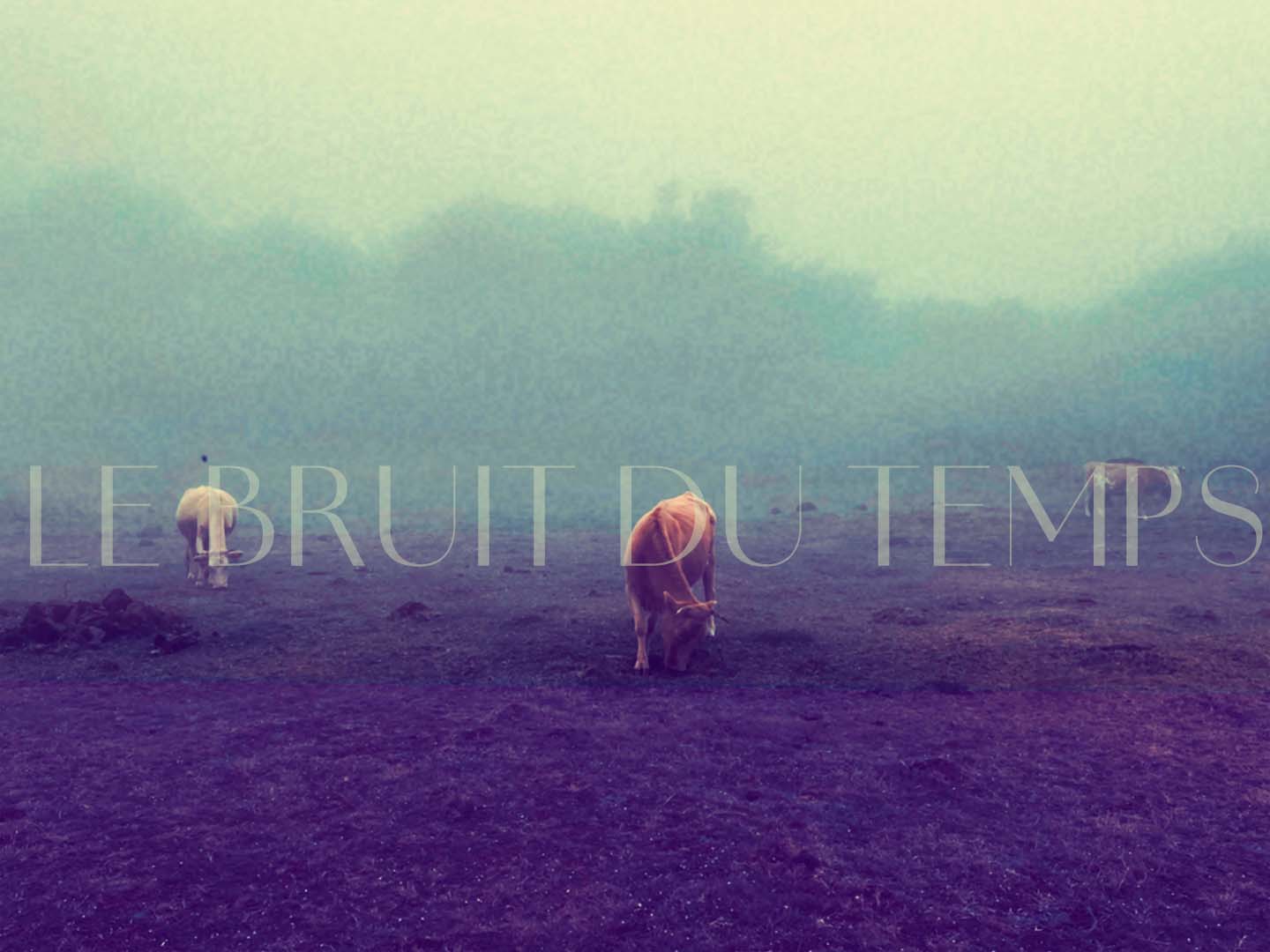 Le bruit du temps - Tirage limité format paysage