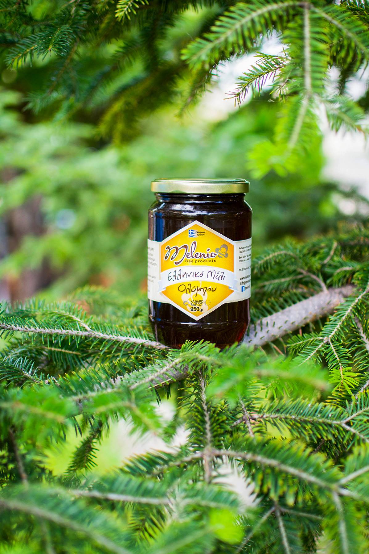 Ελληνικό μέλι ελάτης