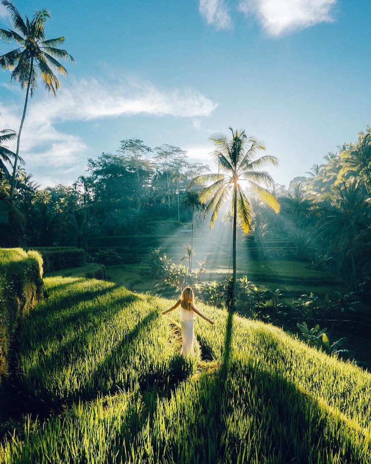 Ulun Danu & Tanah Lot Temple