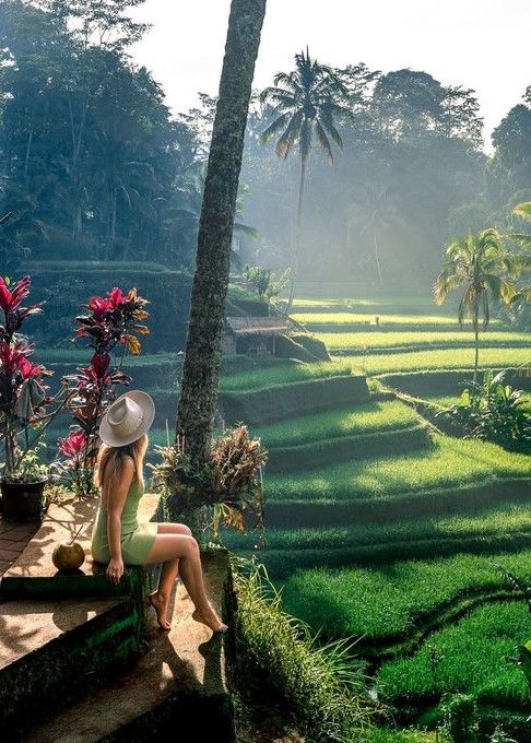 Ubud Half Day Tours