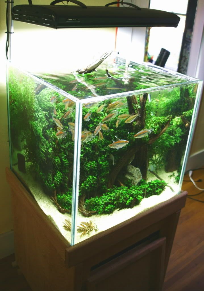 Аквариум куб 60Х60