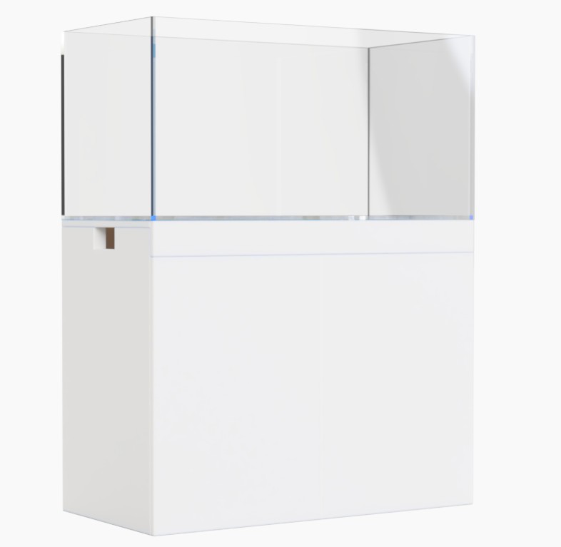 Аквариум морской