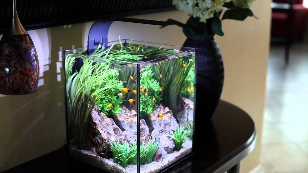 Аквариум куб 40х40