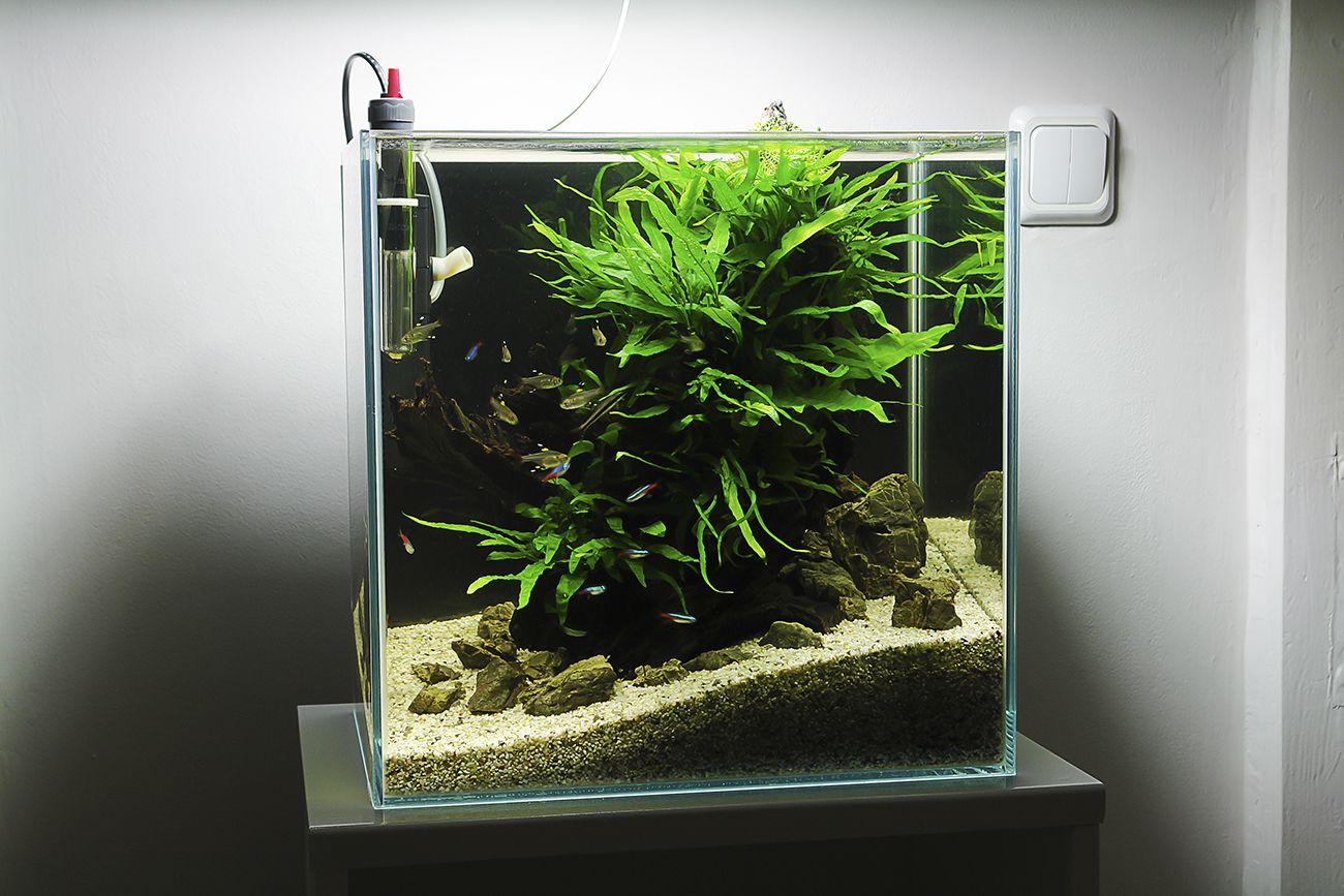 Аквариум куб 40х40