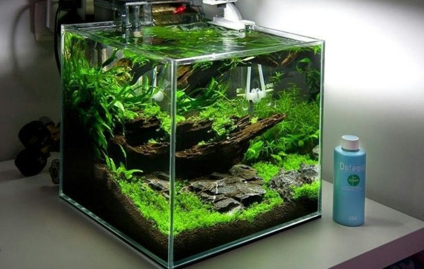 Аквариум куб 40х40