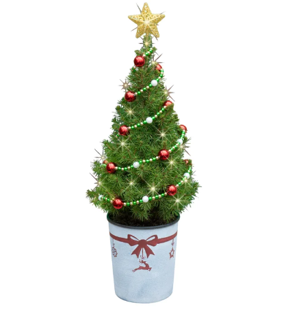 Decorated Christmas Tree