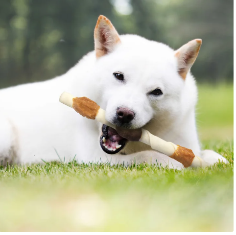 Cadet Gourmet Beef Hide Shish Kabobs, 2 Pack