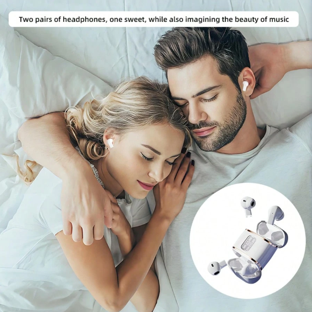 Noise-Cancelling In-Ear Earphones