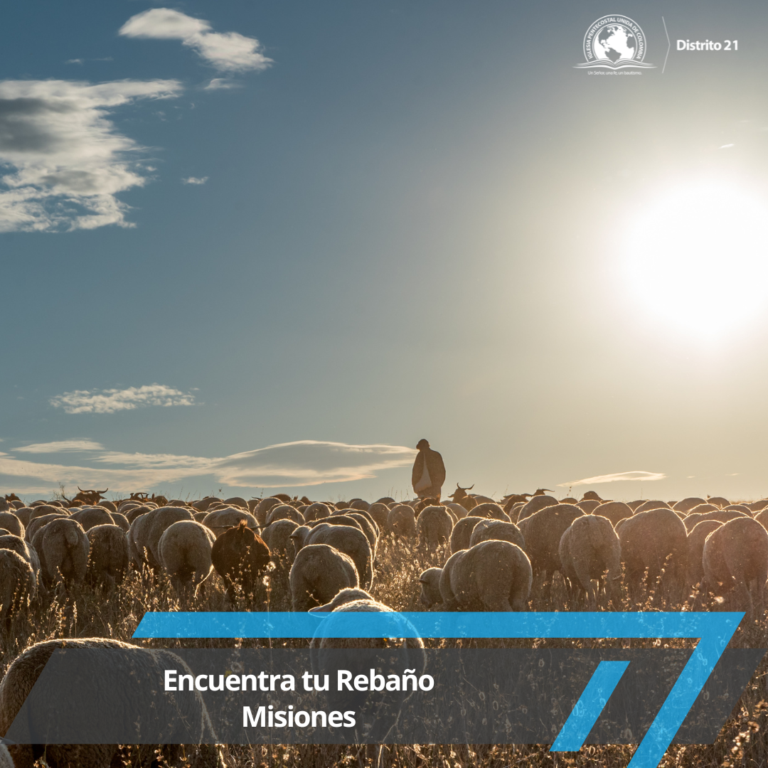 Encuentra tu Rebaño