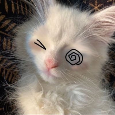 The Worst thing you've ever seen