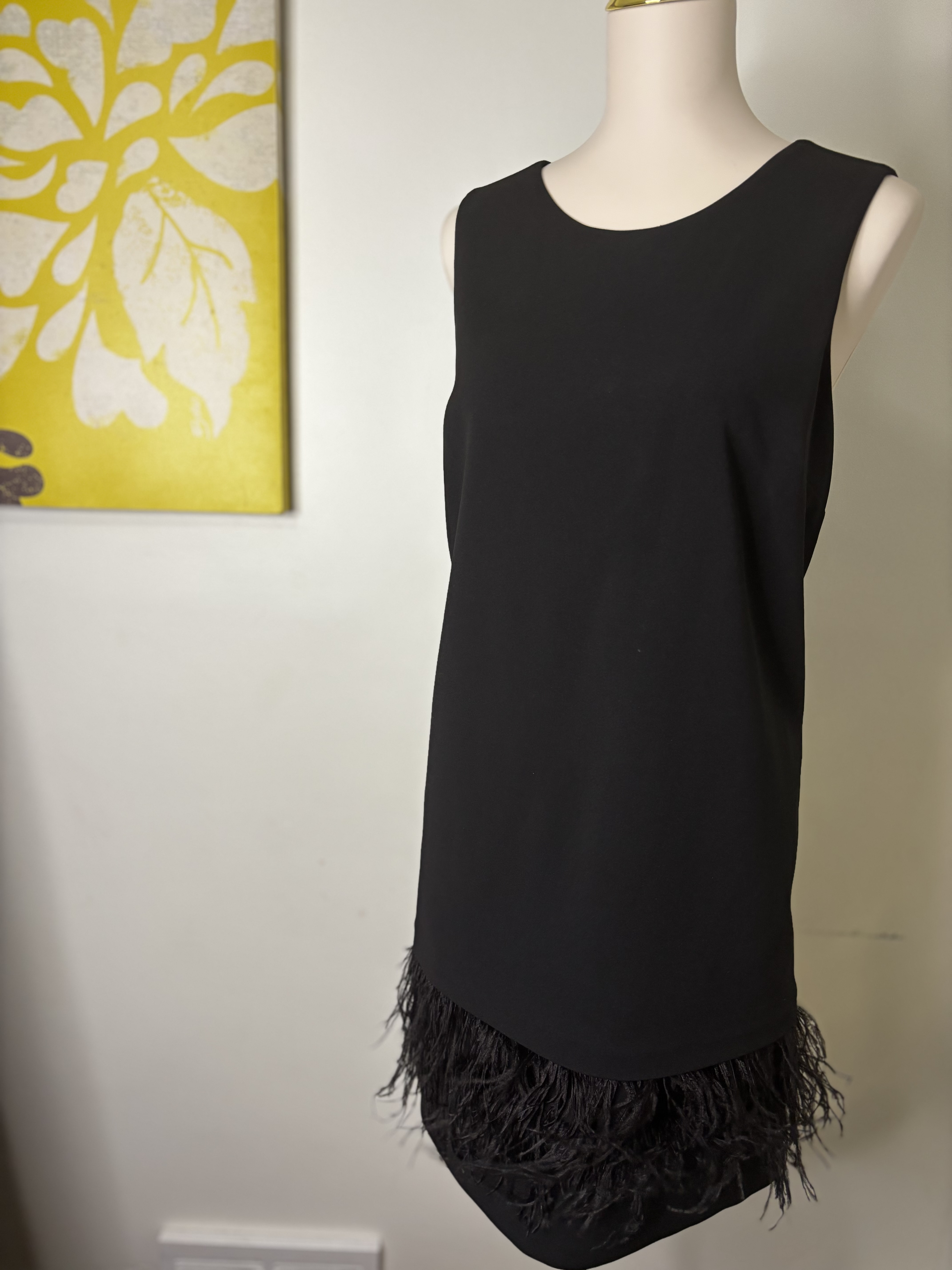 Black Sleeveless Feather Dress