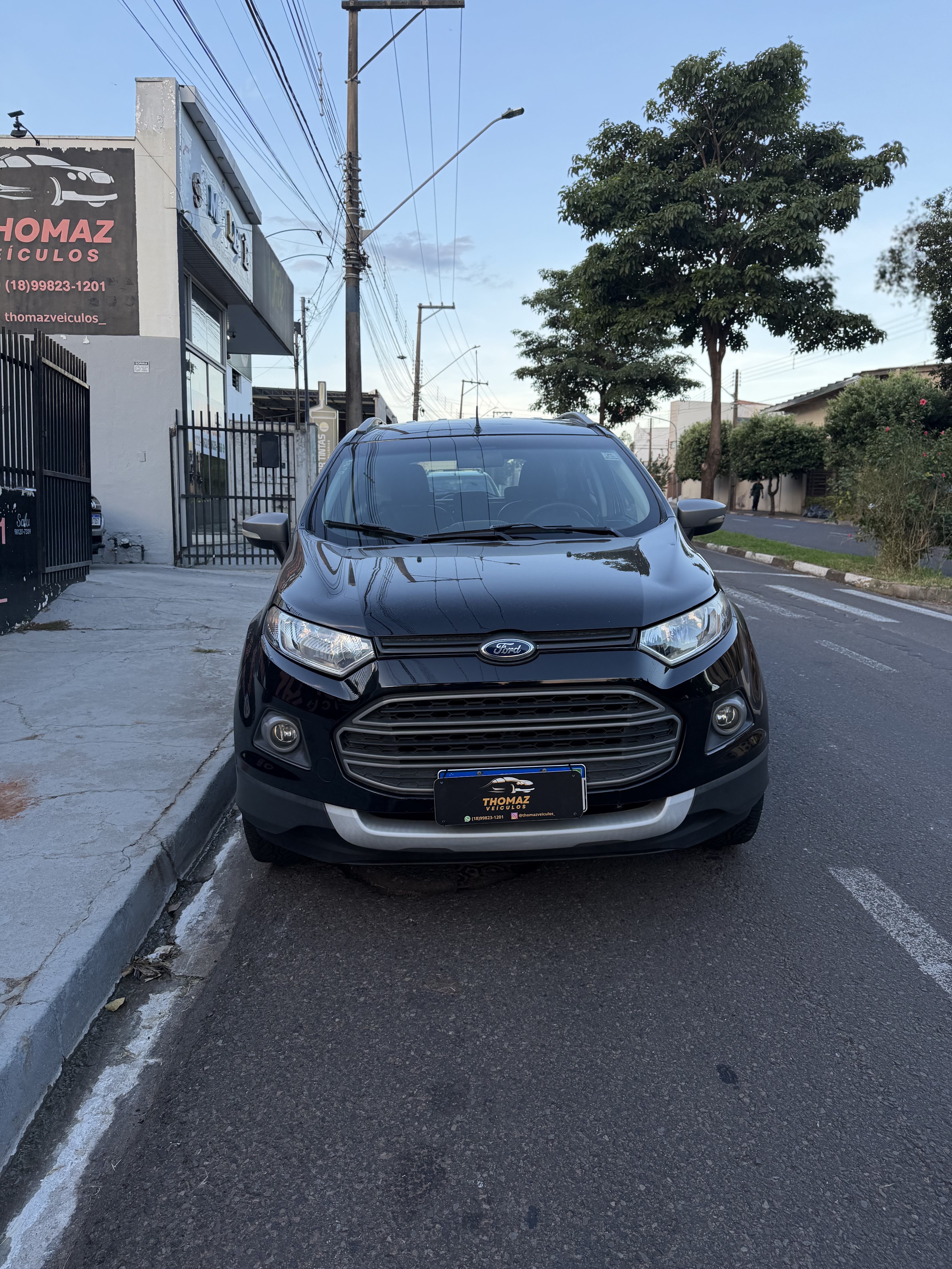 Ecosport 2015 1.6 Freestyle Manual
