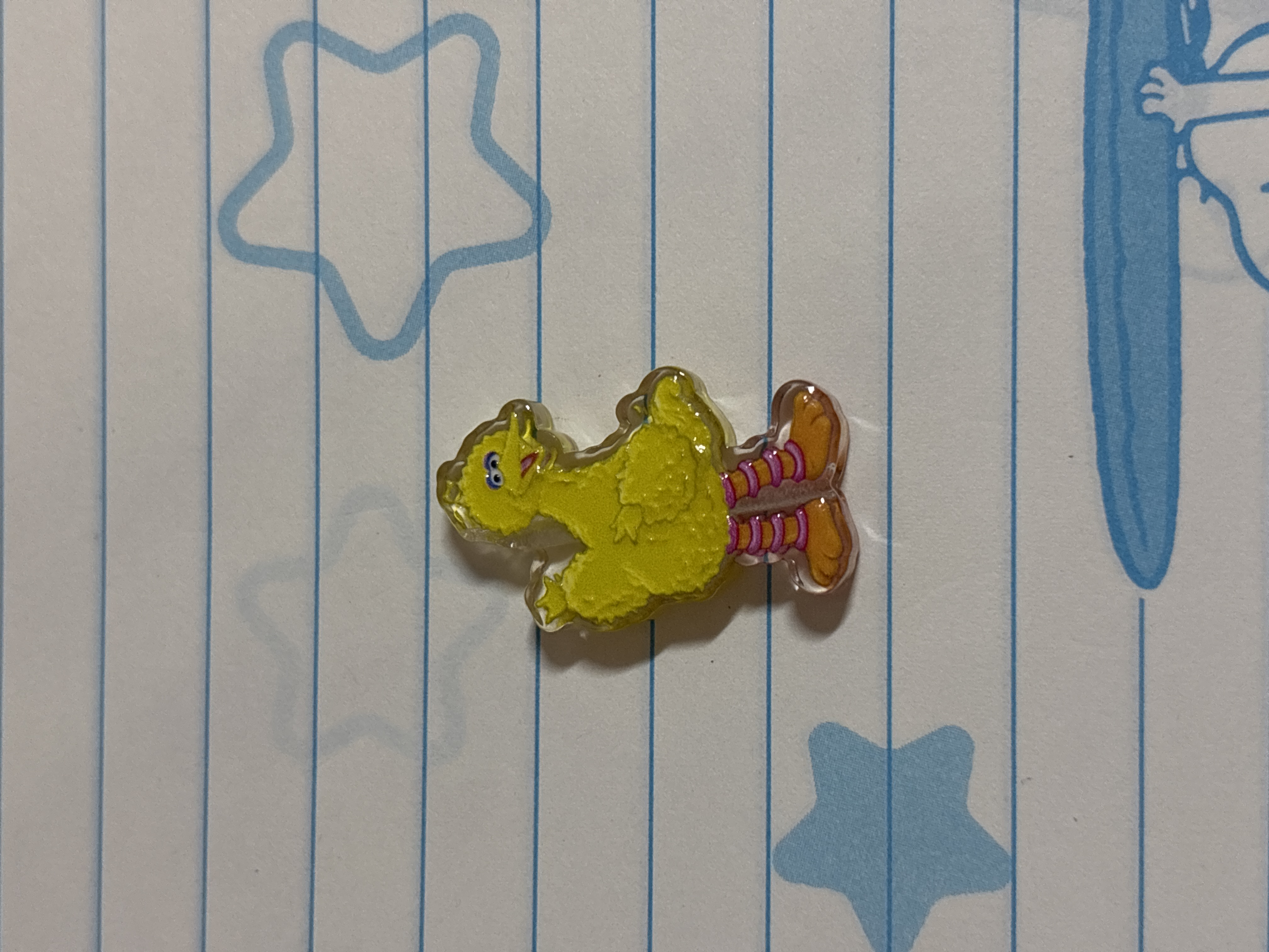 bird