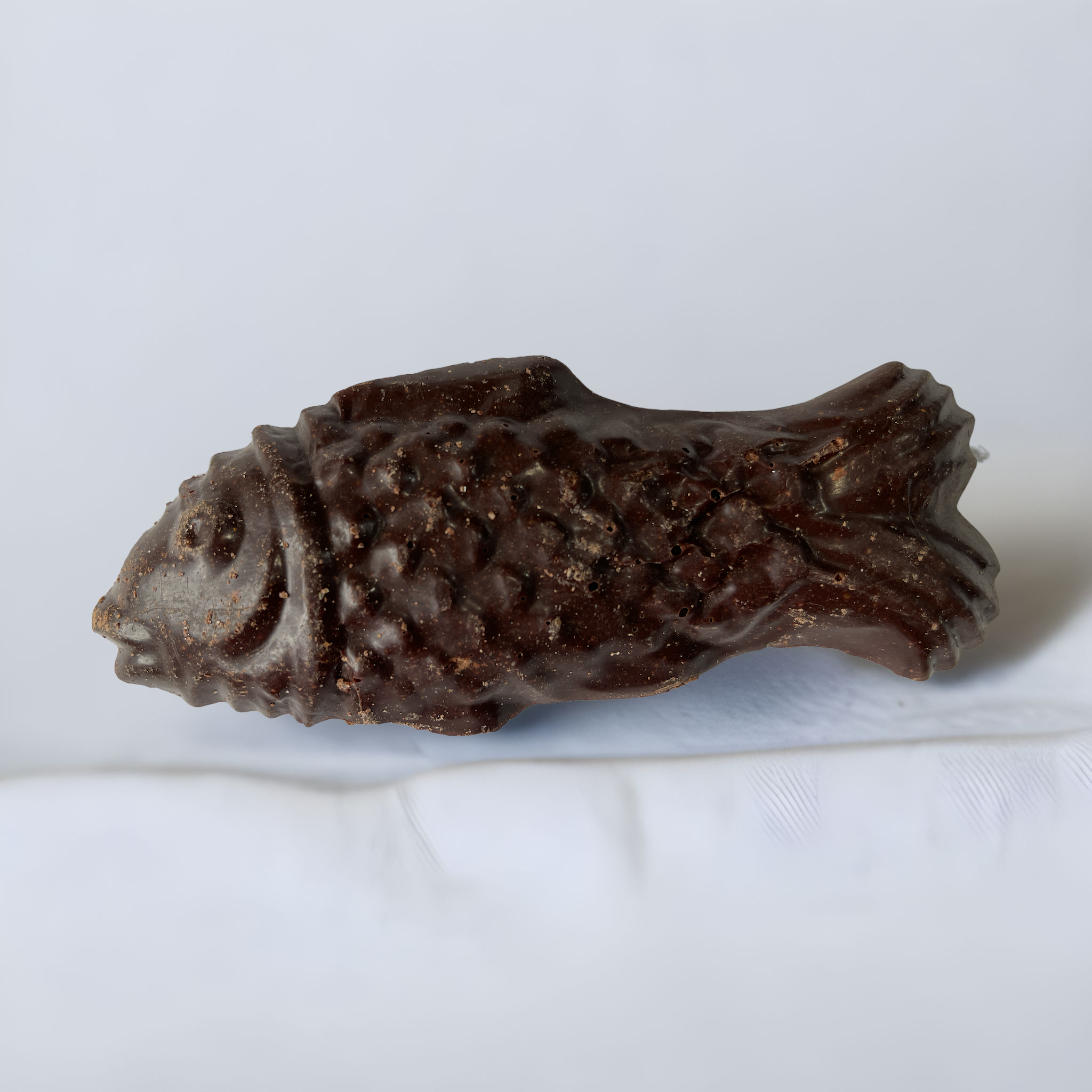 Pez pequeño de chocolate con azúcar
