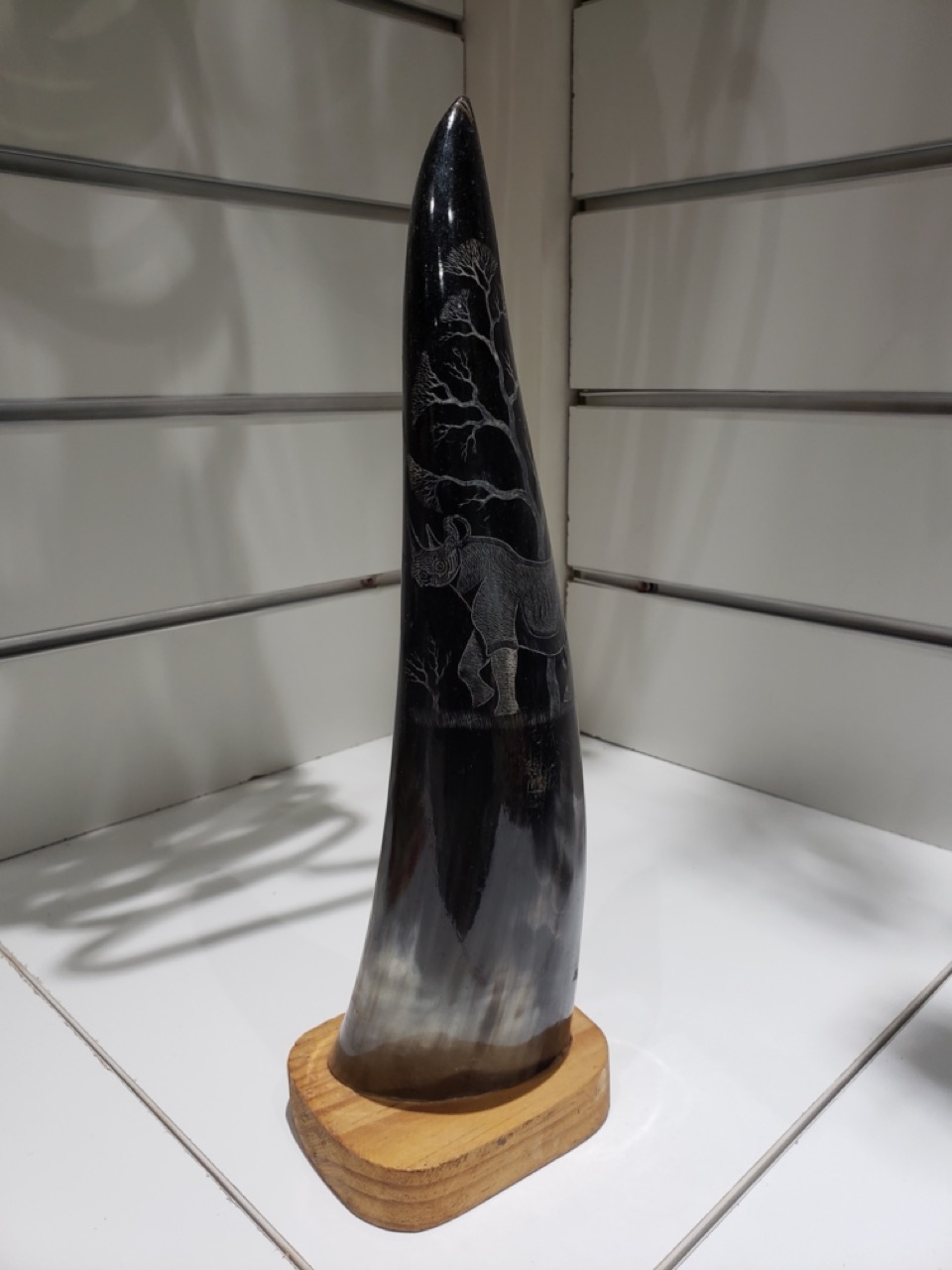 Engraved Decorative Horn