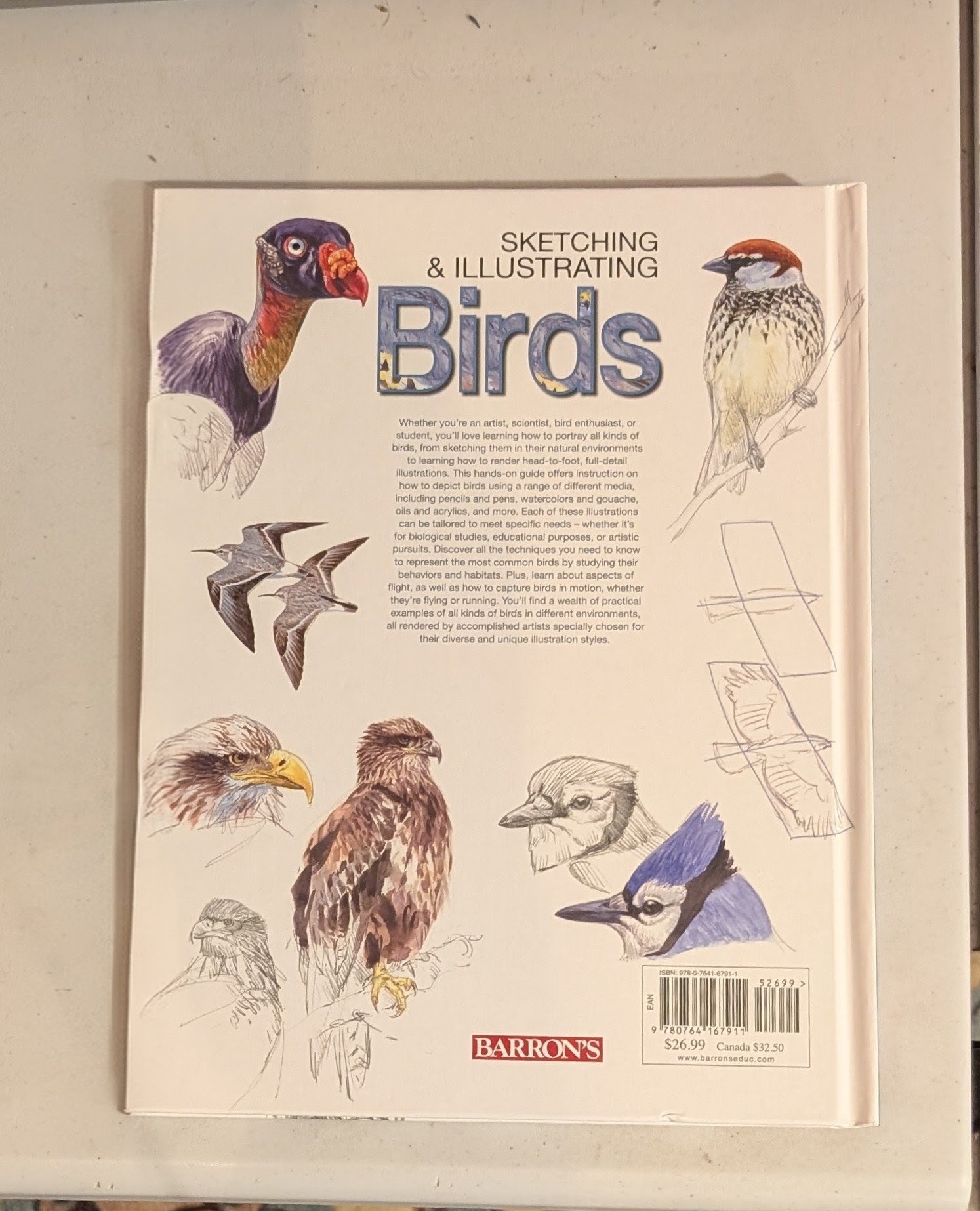 Sketching & Illustrating Birds