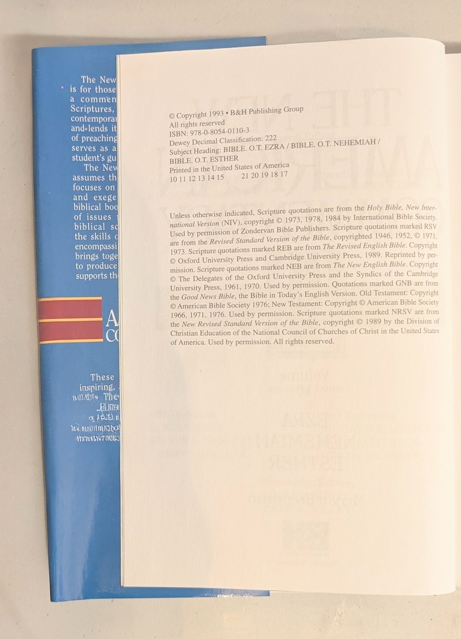 The New American Commentary - Vol 10