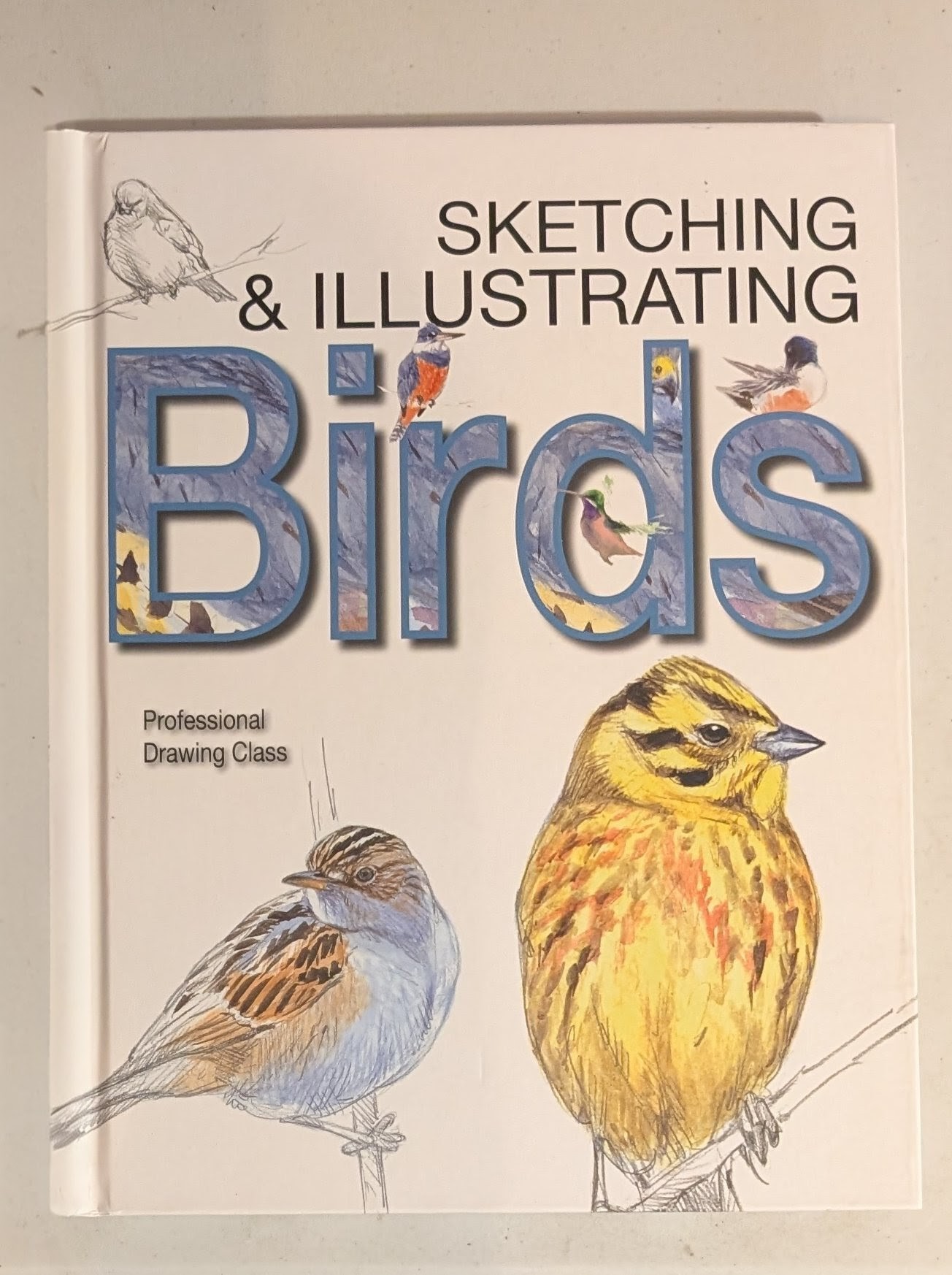 Sketching & Illustrating Birds