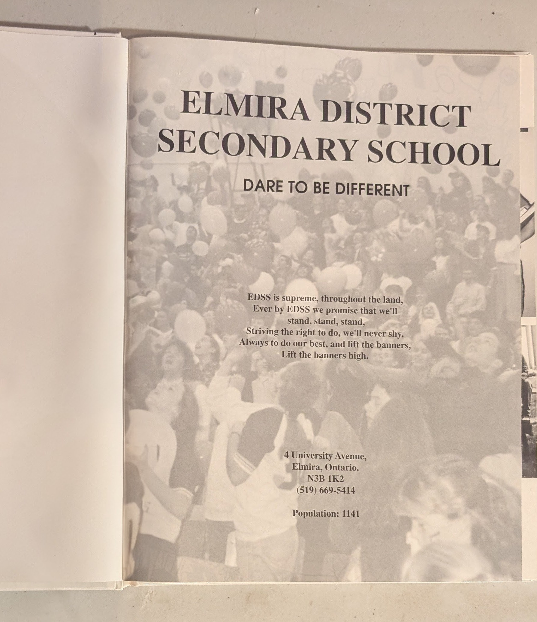 1995 Elmira District Secondary School Yearbook