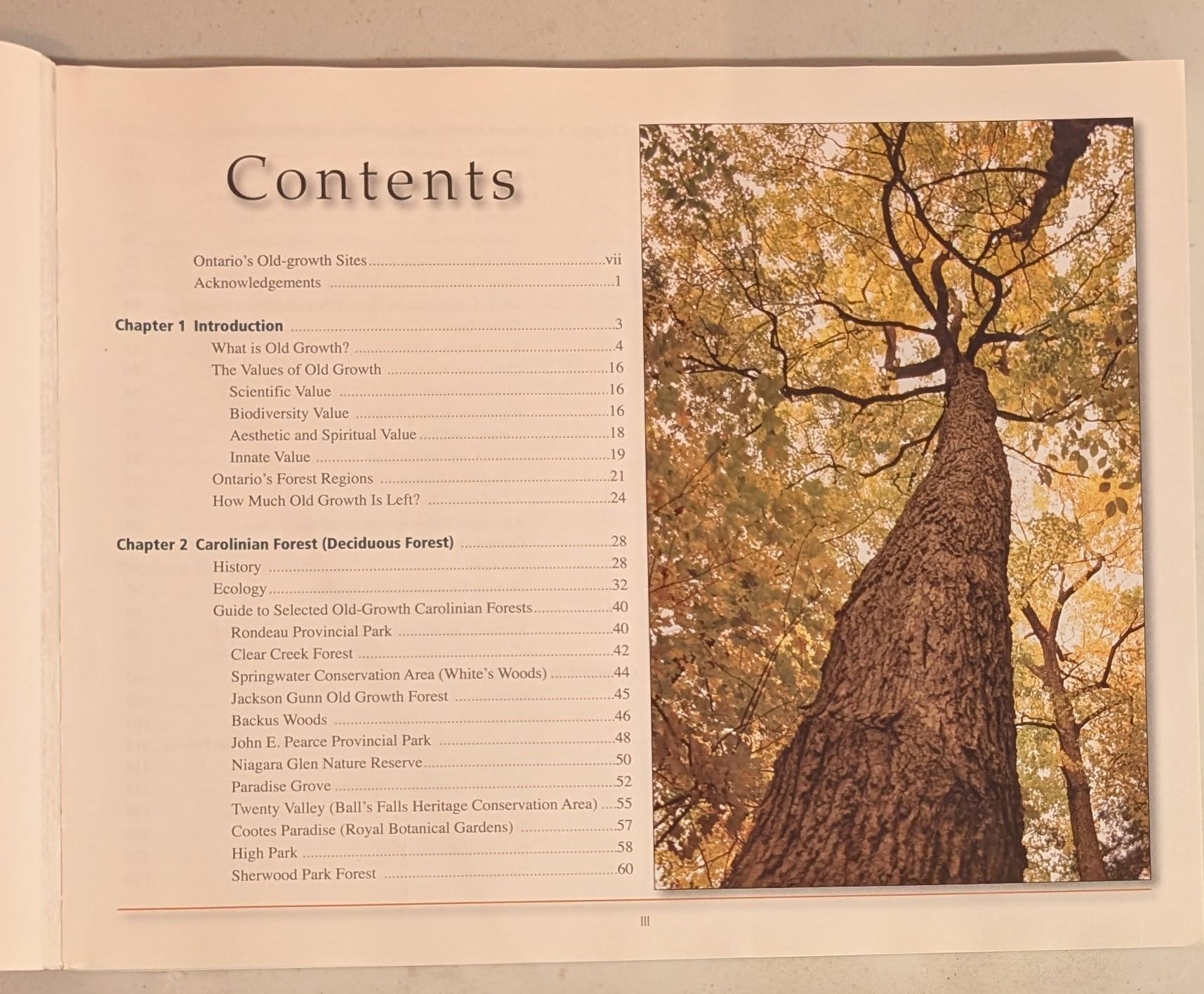 Ontario's Old-Growth Forests